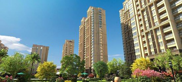 冠军国际网(中国游)官方网站