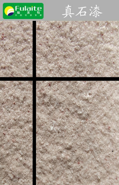 冠军国际网(中国游)官方网站