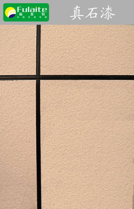 冠军国际网(中国游)官方网站