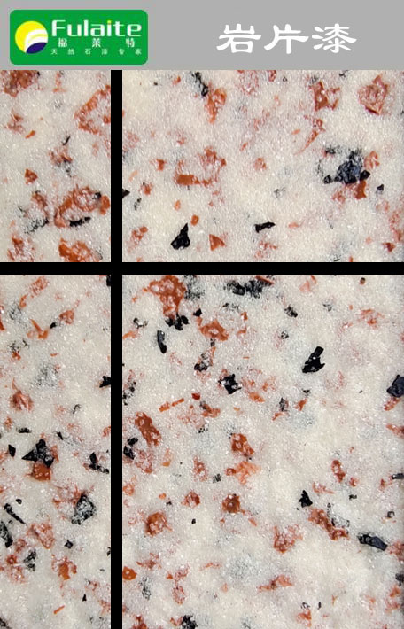 冠军国际网(中国游)官方网站