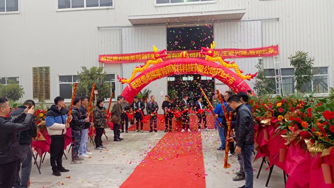 冠军国际网(中国游)官方网站