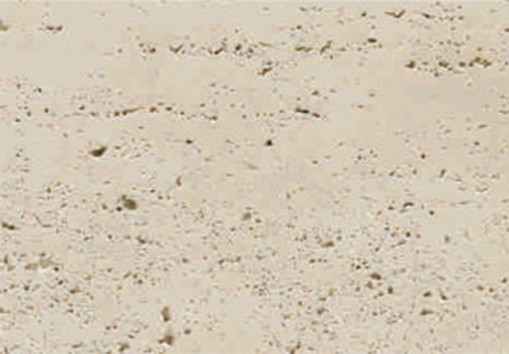 冠军国际网(中国游)官方网站