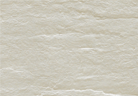 冠军国际网(中国游)官方网站